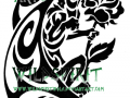 dragon_and_rose_tattoo_by_wildspiritwolf-d34y4y3.png